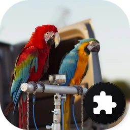 Parrot Jigsaw Puzzle